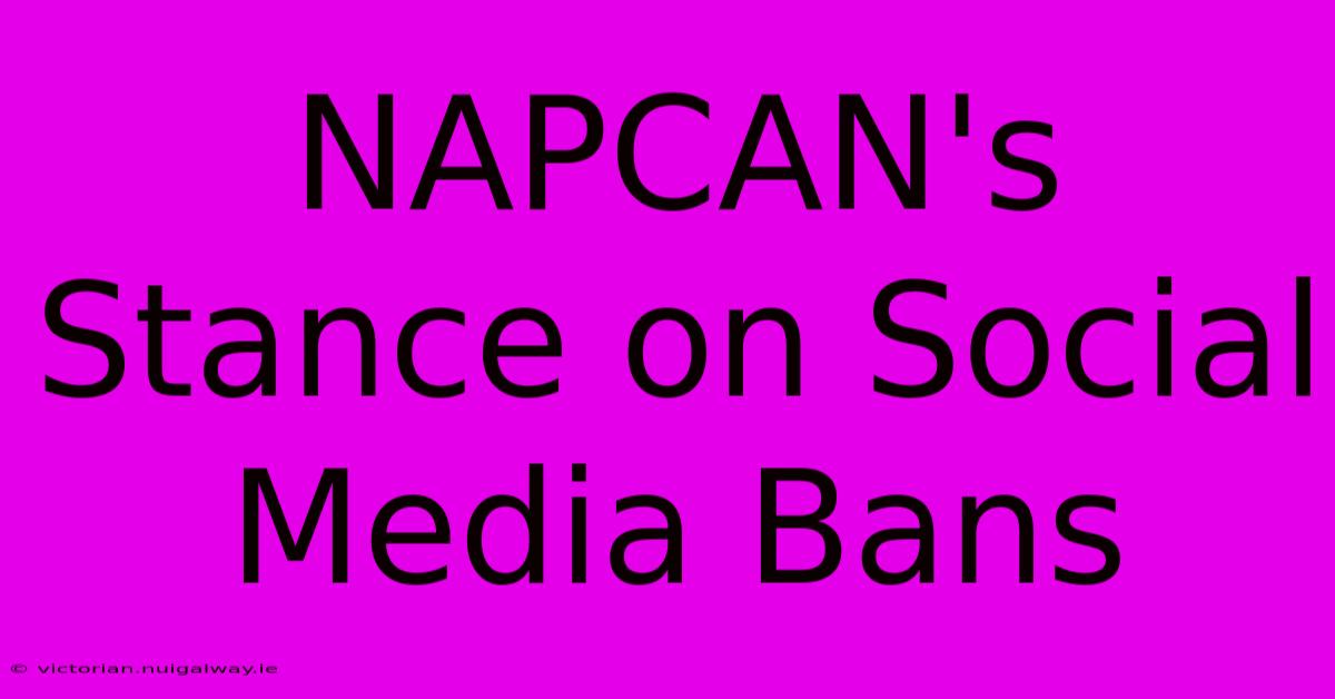 NAPCAN's Stance On Social Media Bans