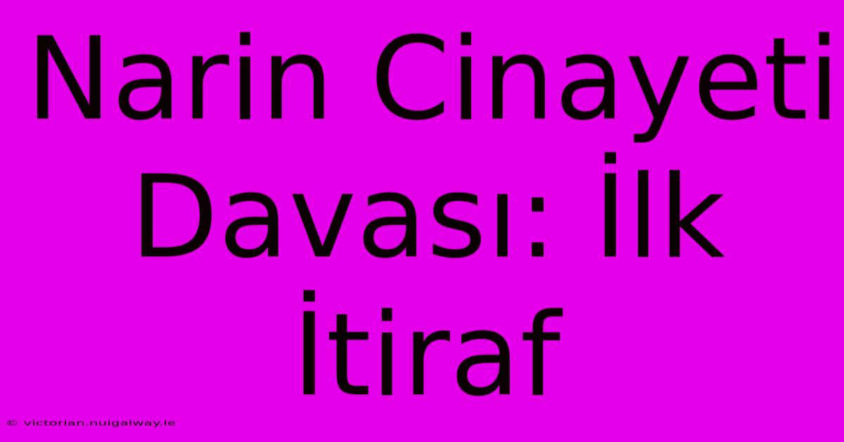 Narin Cinayeti Davası: İlk İtiraf