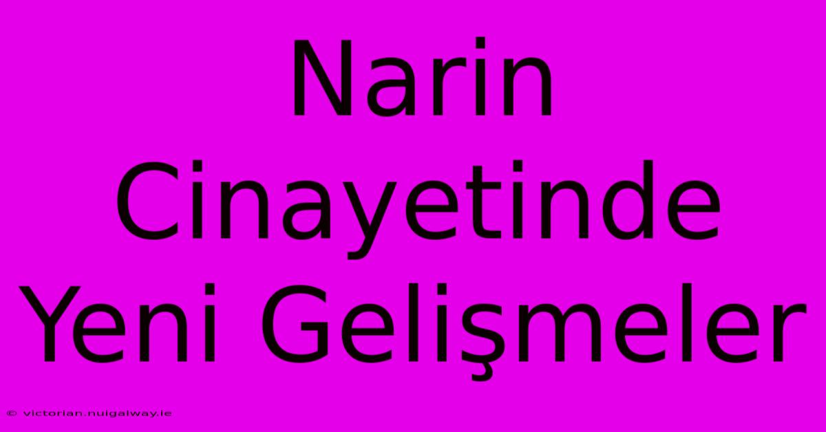 Narin Cinayetinde Yeni Gelişmeler