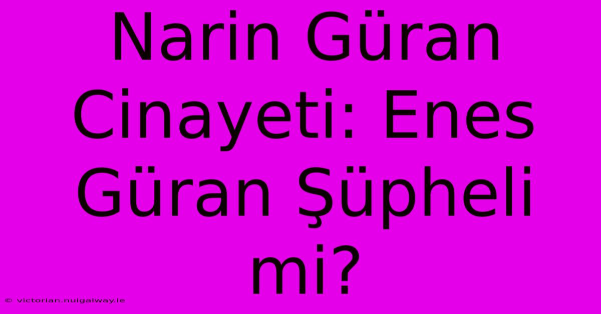 Narin Güran Cinayeti: Enes Güran Şüpheli Mi?