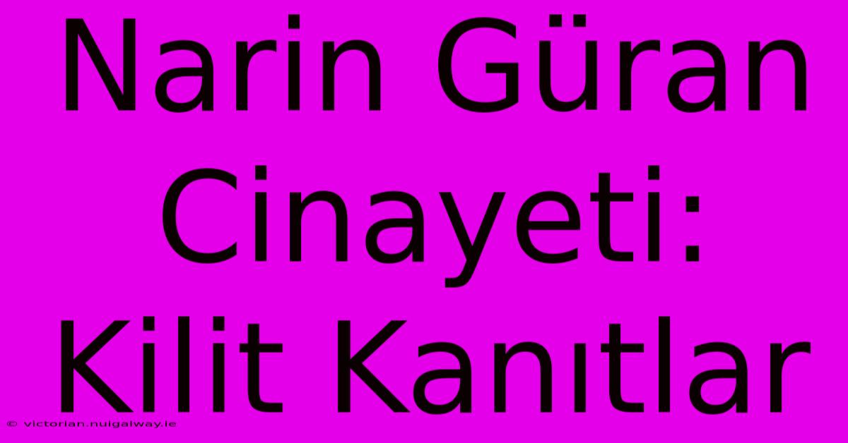 Narin Güran Cinayeti: Kilit Kanıtlar 