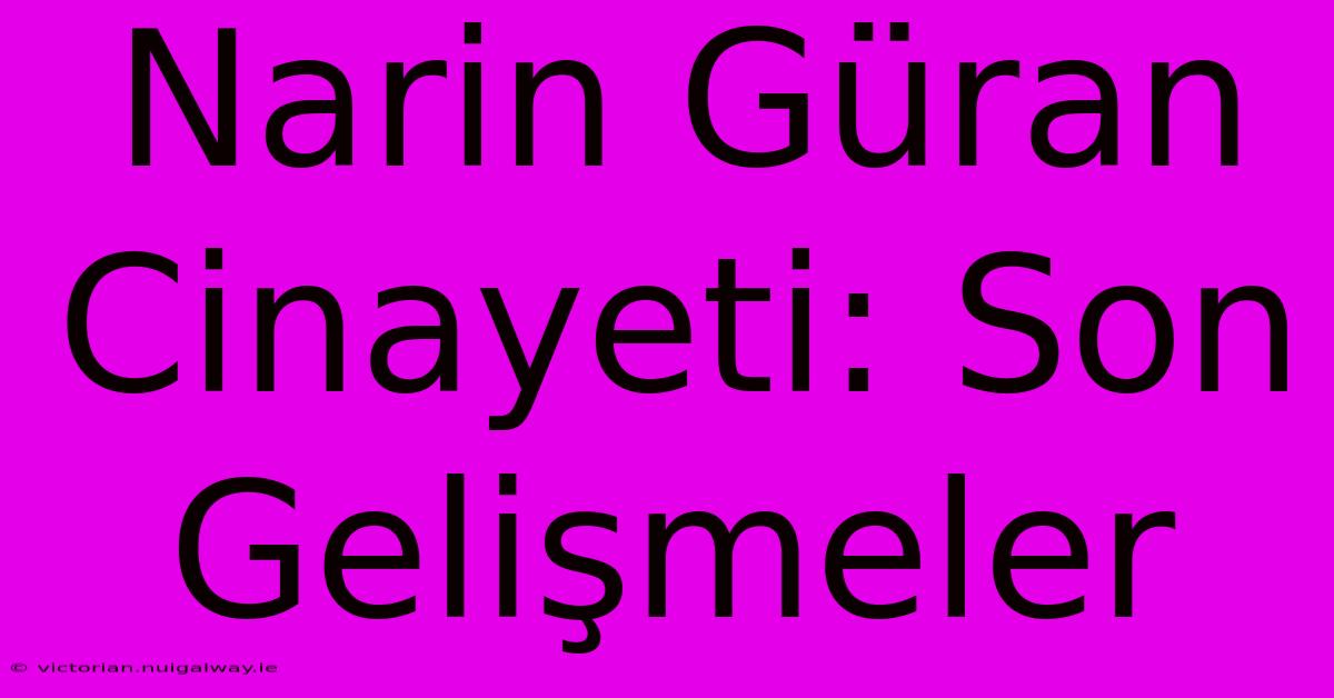 Narin Güran Cinayeti: Son Gelişmeler