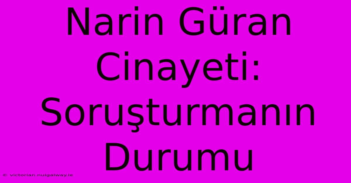 Narin Güran Cinayeti: Soruşturmanın Durumu