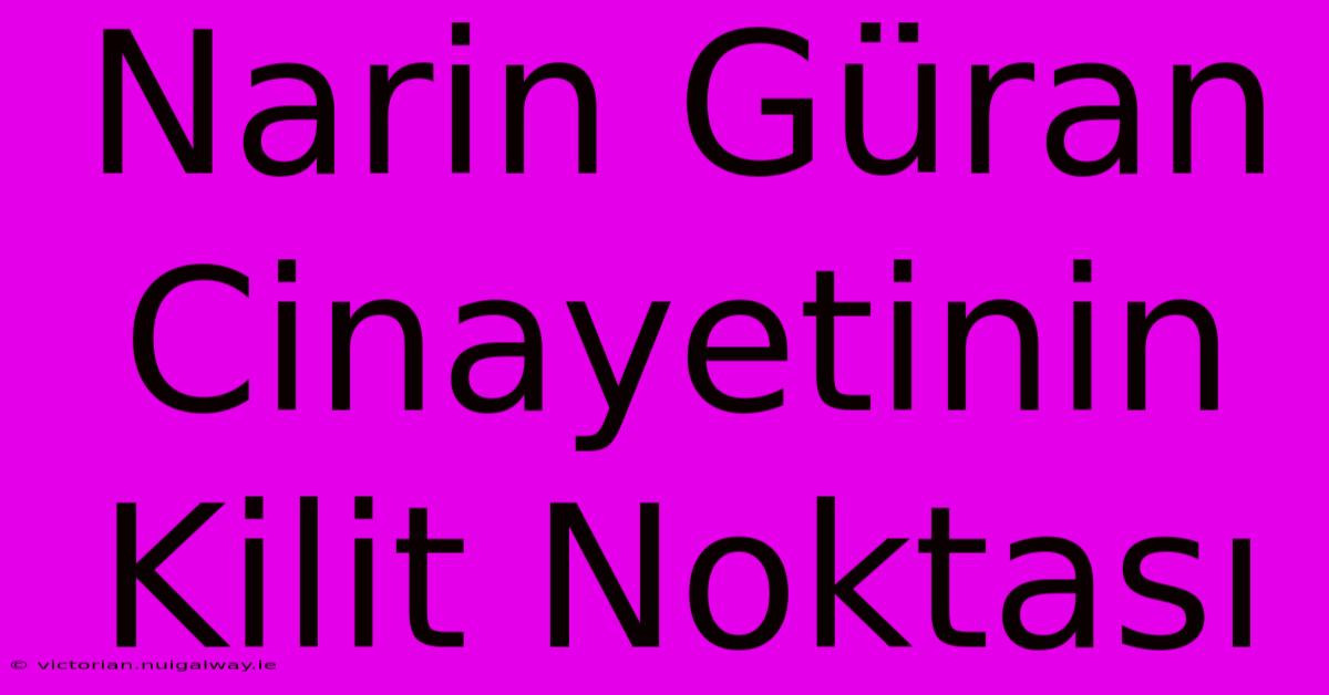 Narin Güran Cinayetinin Kilit Noktası