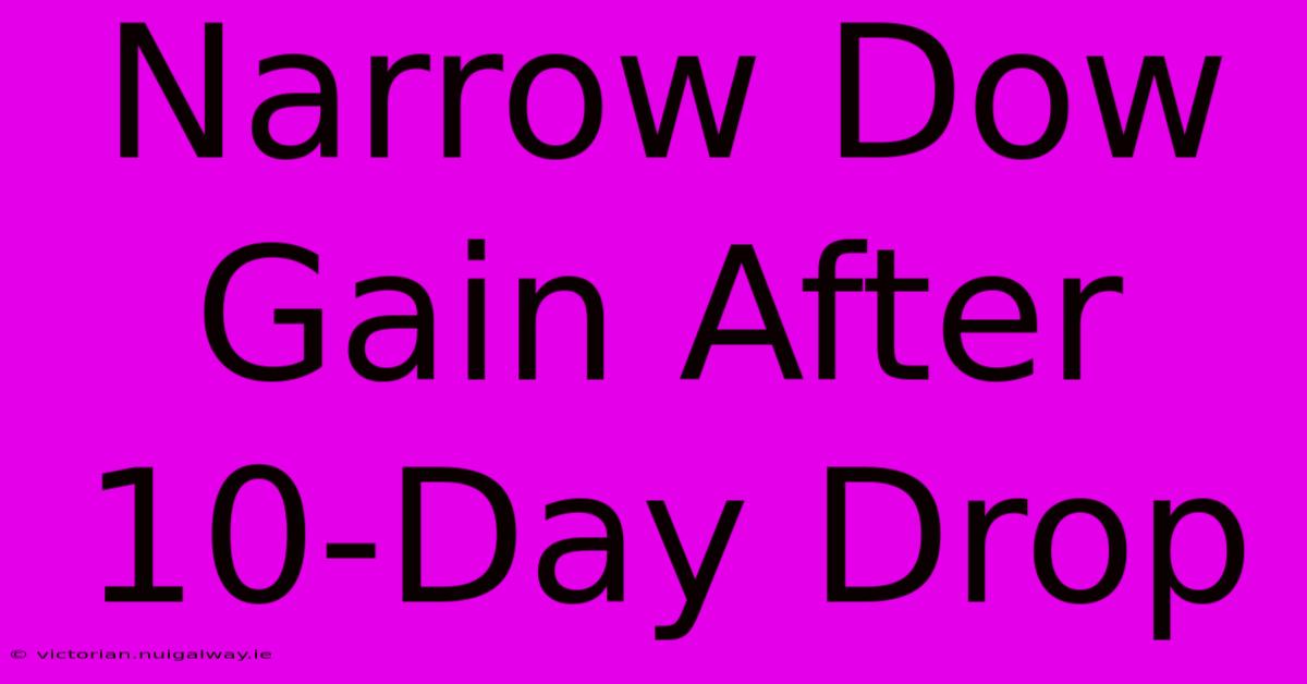 Narrow Dow Gain After 10-Day Drop