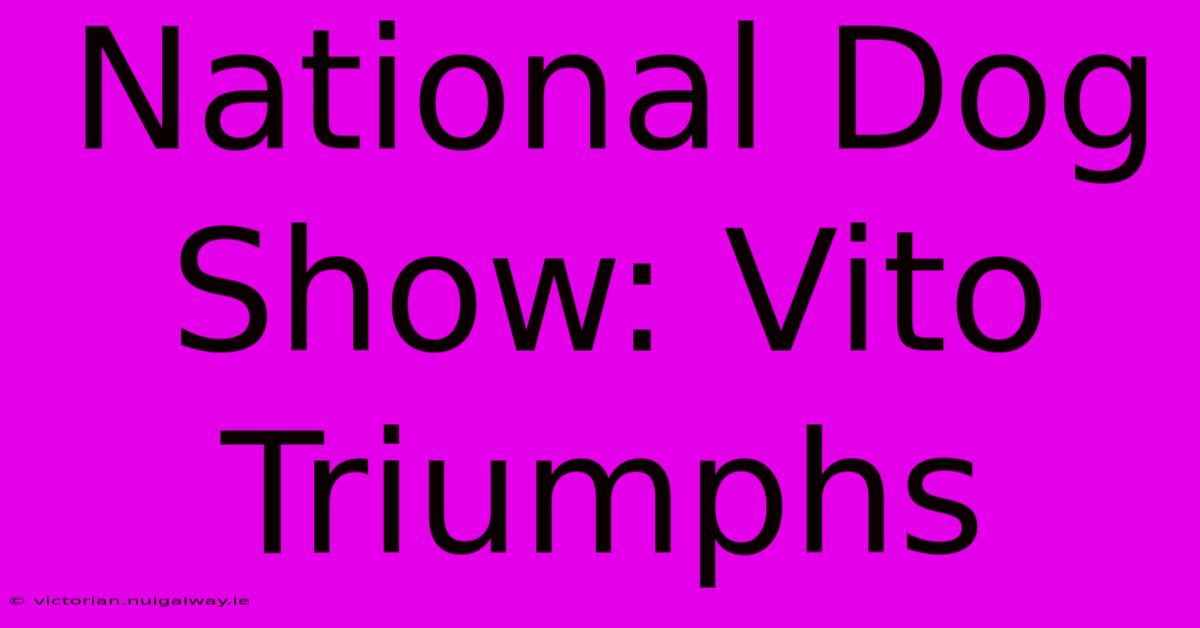 National Dog Show: Vito Triumphs