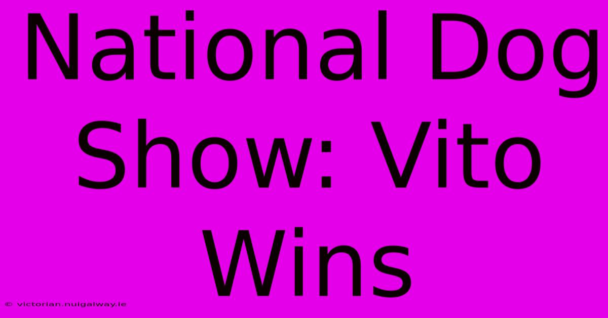 National Dog Show: Vito Wins