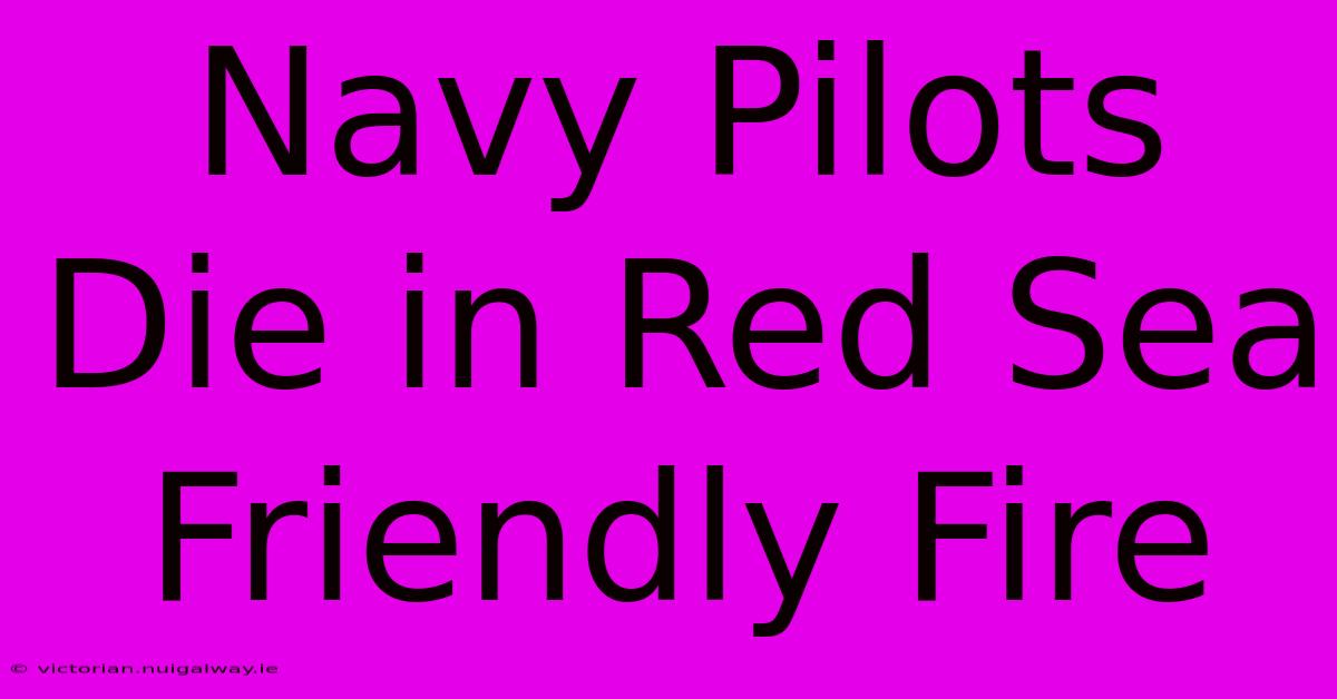 Navy Pilots Die In Red Sea Friendly Fire