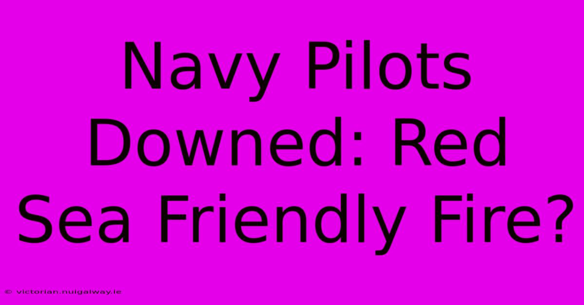 Navy Pilots Downed: Red Sea Friendly Fire?