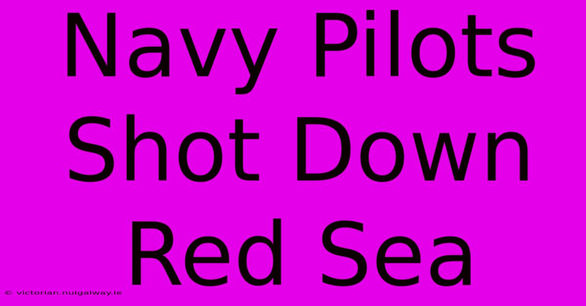 Navy Pilots Shot Down Red Sea