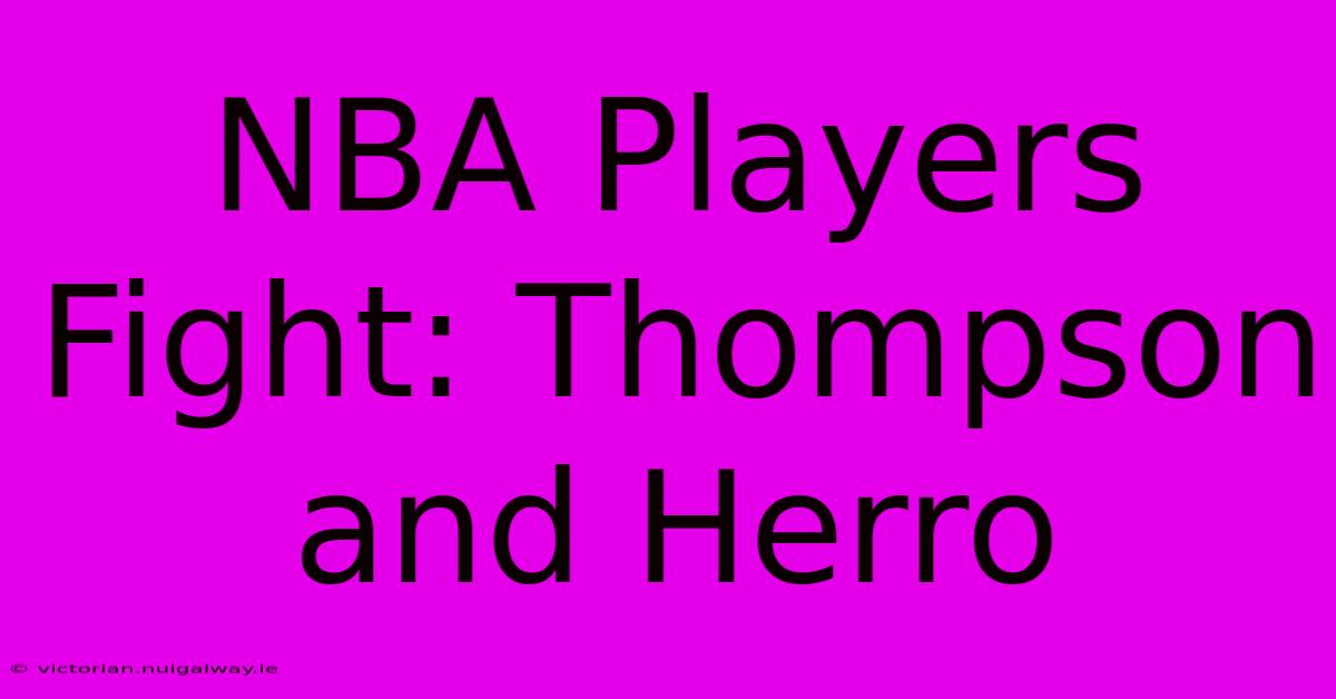 NBA Players Fight: Thompson And Herro