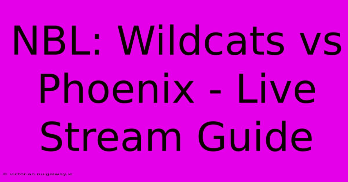 NBL: Wildcats Vs Phoenix - Live Stream Guide