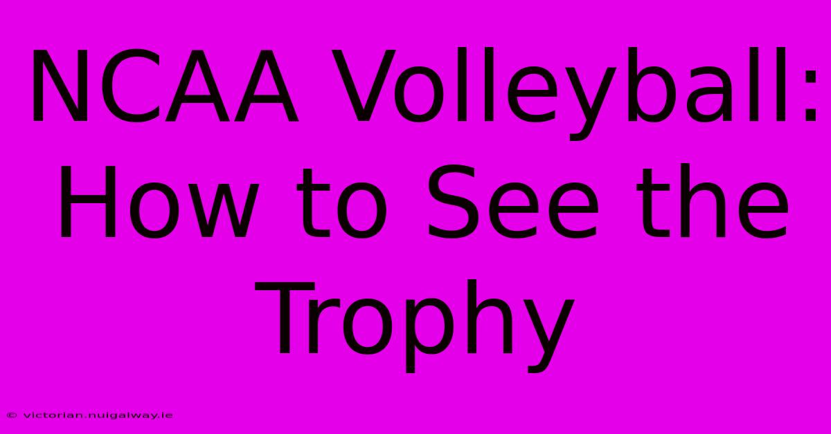 NCAA Volleyball: How To See The Trophy