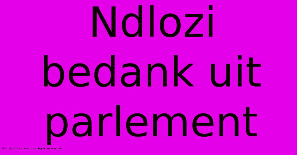 Ndlozi Bedank Uit Parlement