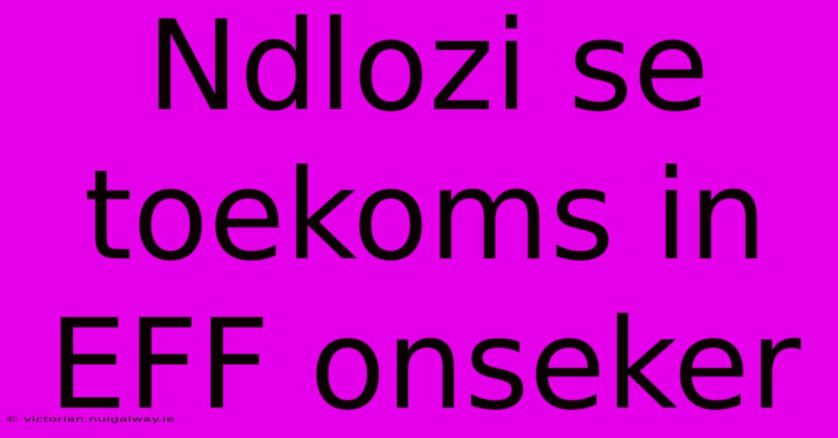 Ndlozi Se Toekoms In EFF Onseker