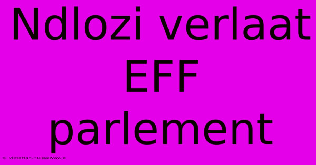 Ndlozi Verlaat EFF Parlement