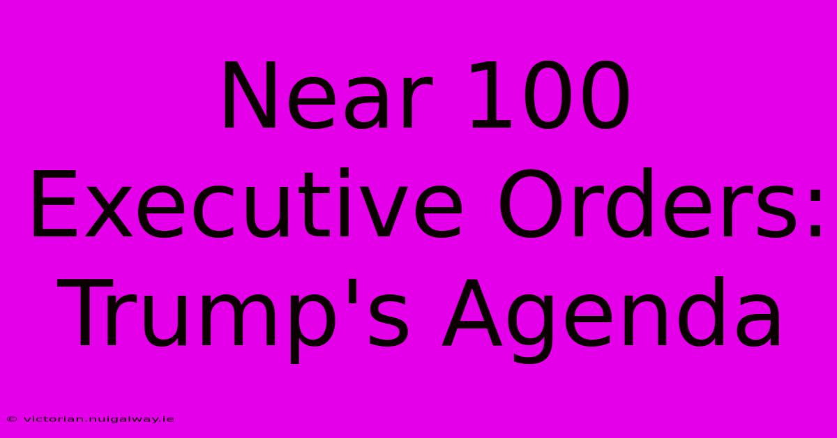 Near 100 Executive Orders: Trump's Agenda