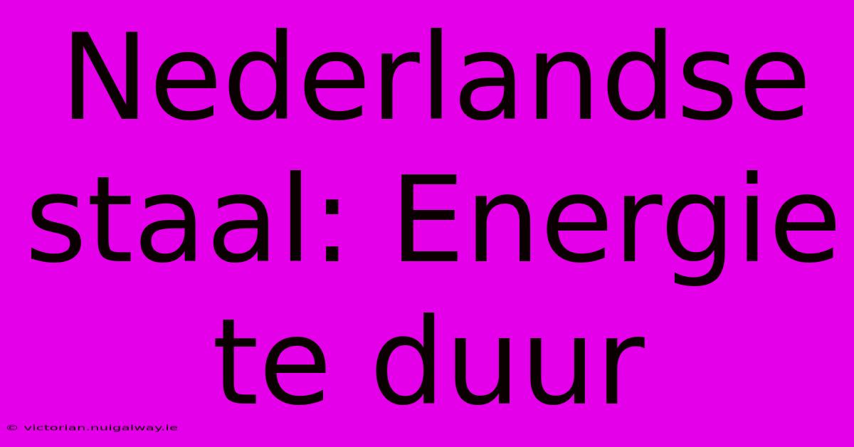 Nederlandse Staal: Energie Te Duur