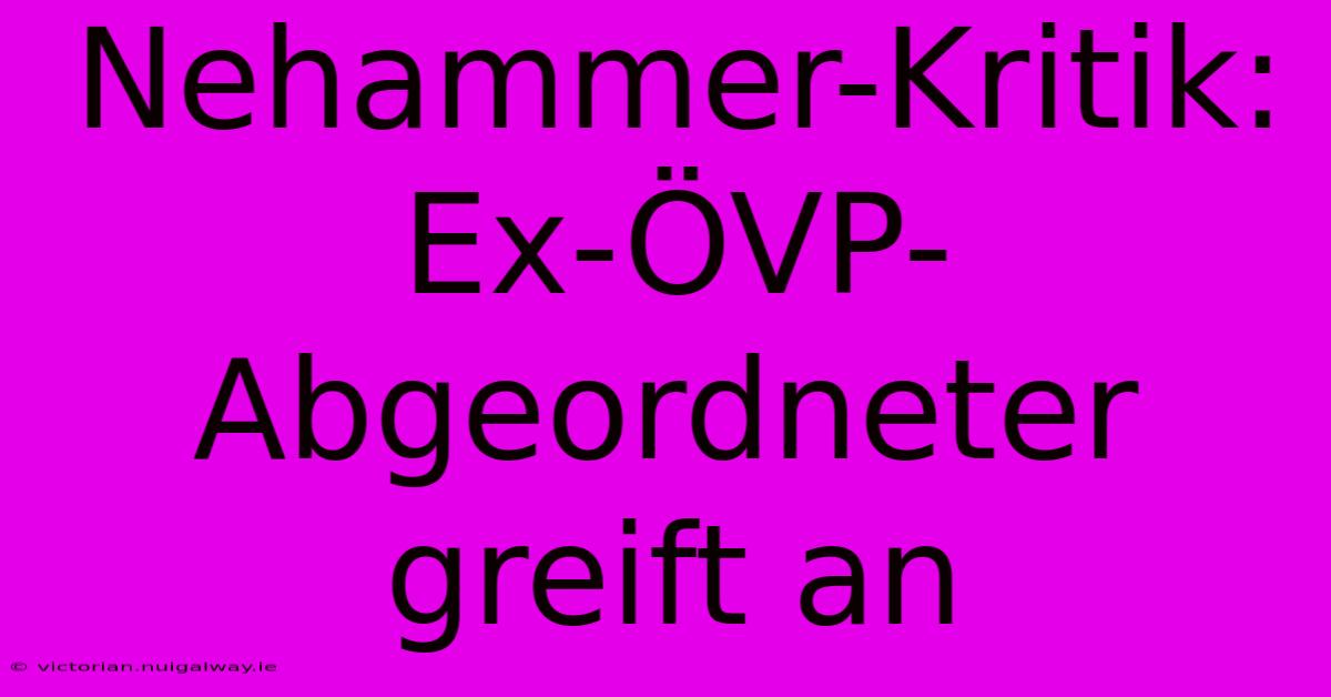 Nehammer-Kritik: Ex-ÖVP-Abgeordneter Greift An