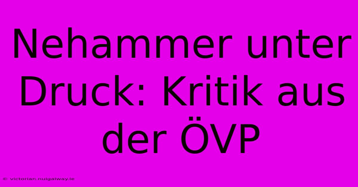 Nehammer Unter Druck: Kritik Aus Der ÖVP 