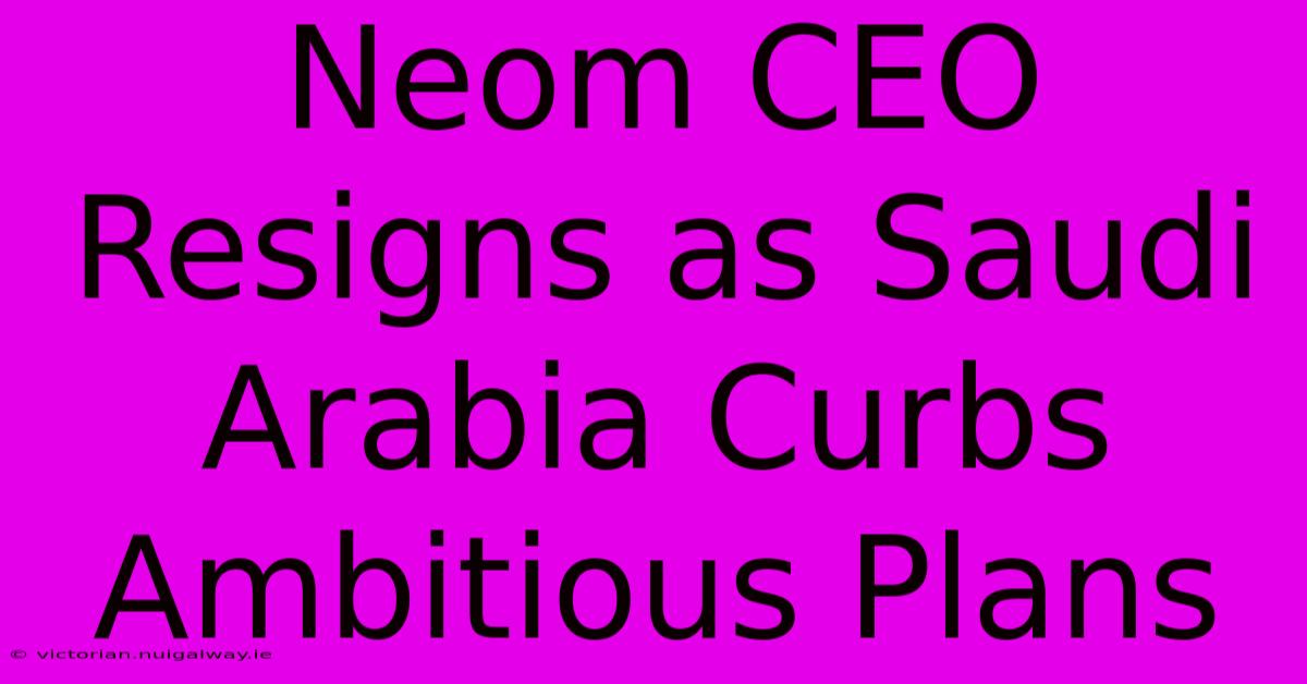 Neom CEO Resigns As Saudi Arabia Curbs Ambitious Plans