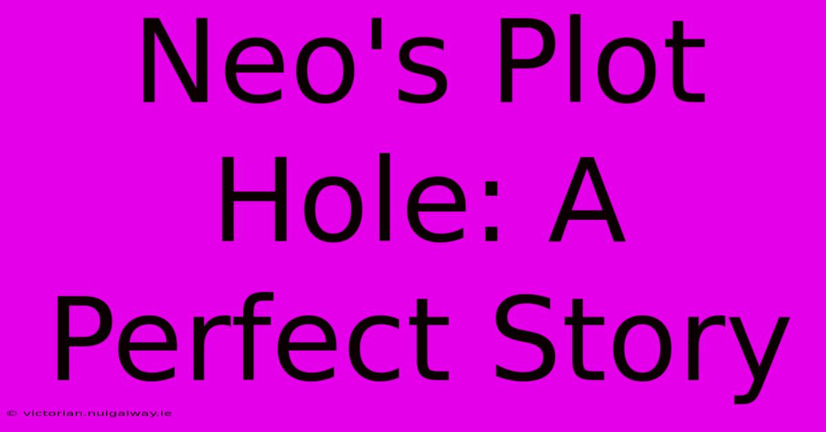 Neo's Plot Hole: A Perfect Story