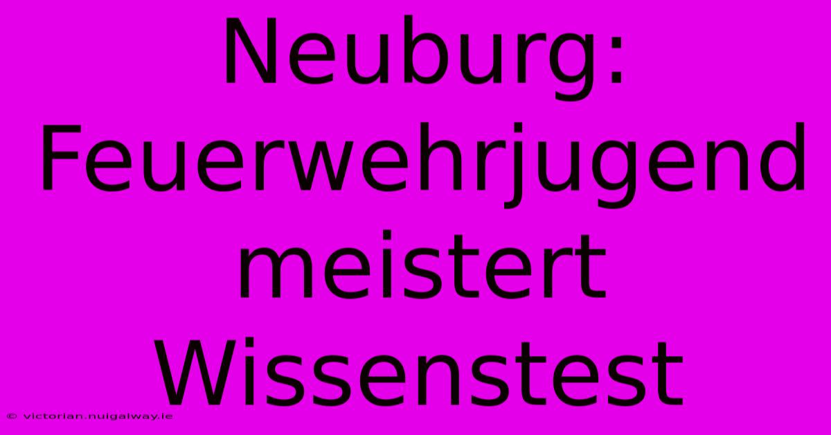 Neuburg: Feuerwehrjugend Meistert Wissenstest