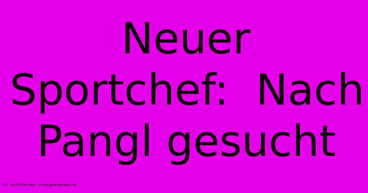 Neuer Sportchef:  Nach Pangl Gesucht