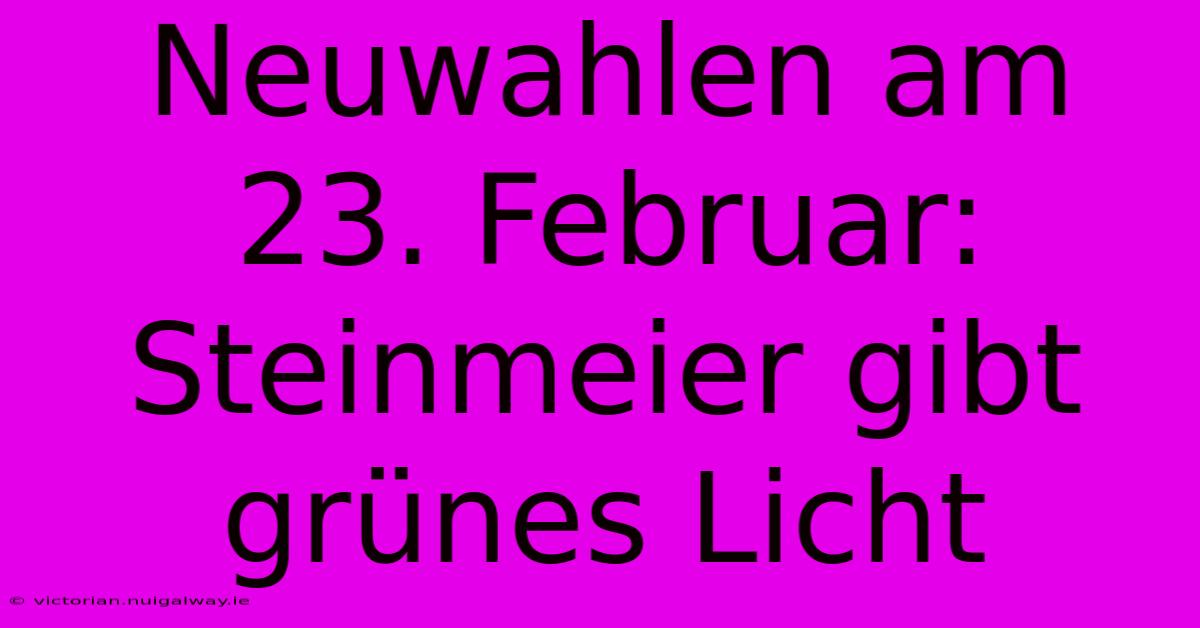 Neuwahlen Am 23. Februar: Steinmeier Gibt Grünes Licht 