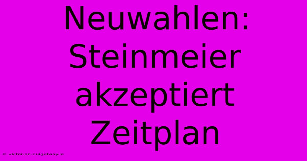 Neuwahlen: Steinmeier Akzeptiert Zeitplan