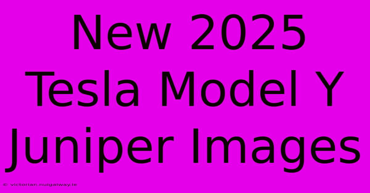 New 2025 Tesla Model Y Juniper Images