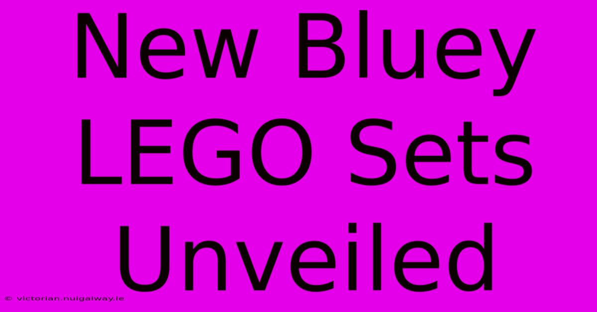 New Bluey LEGO Sets Unveiled