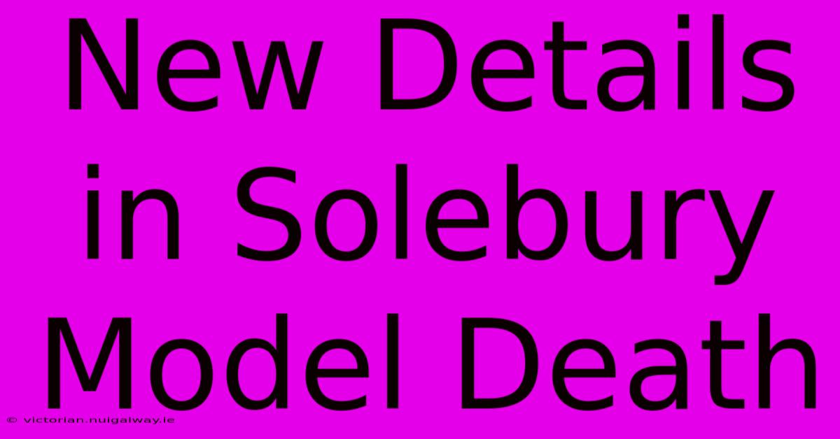 New Details In Solebury Model Death