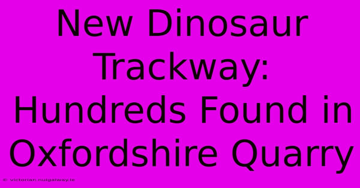 New Dinosaur Trackway: Hundreds Found In Oxfordshire Quarry