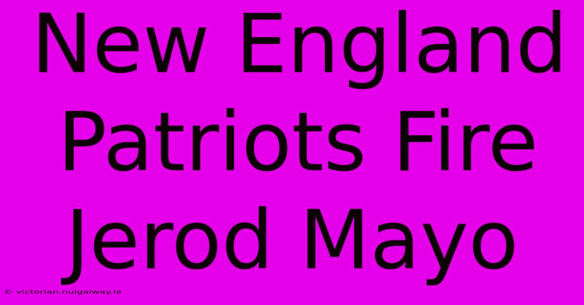 New England Patriots Fire Jerod Mayo