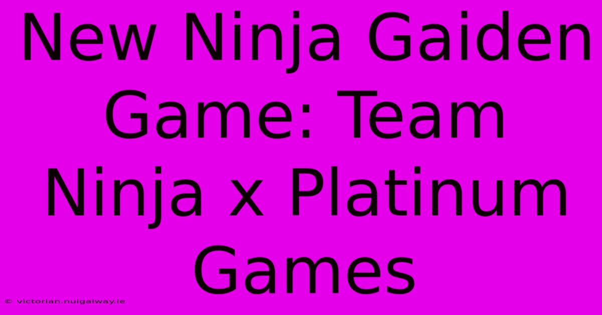 New Ninja Gaiden Game: Team Ninja X Platinum Games