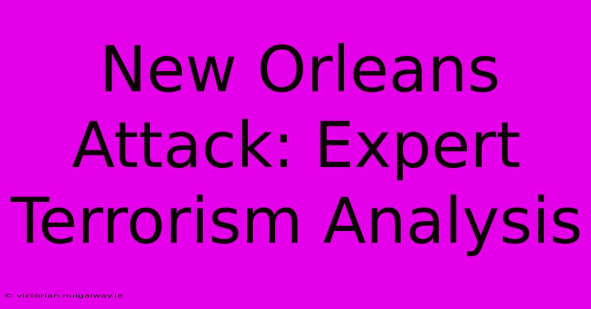 New Orleans Attack: Expert Terrorism Analysis