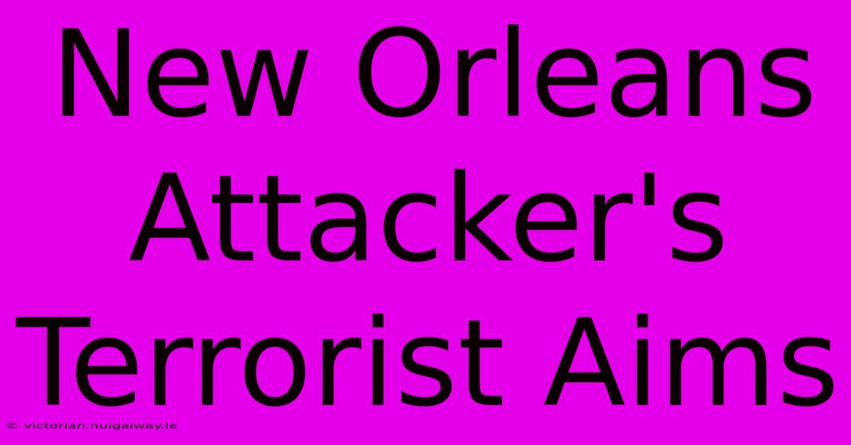 New Orleans Attacker's Terrorist Aims