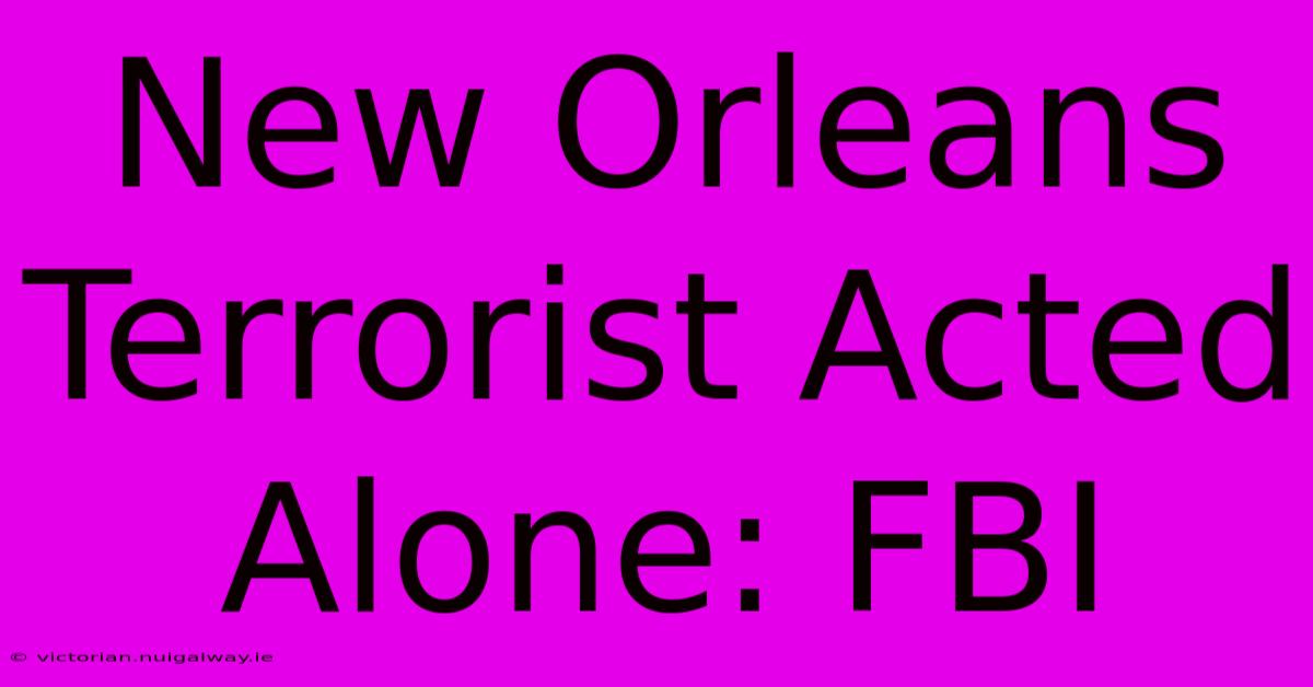 New Orleans Terrorist Acted Alone: FBI