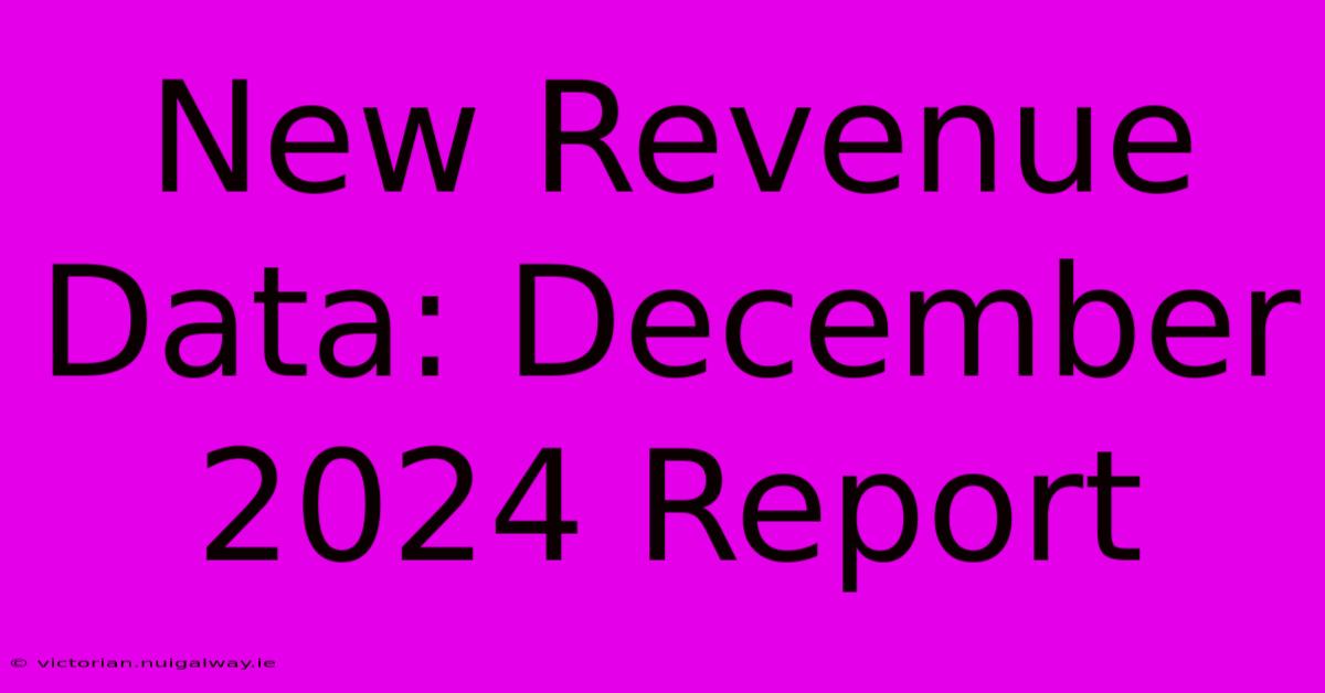 New Revenue Data: December 2024 Report