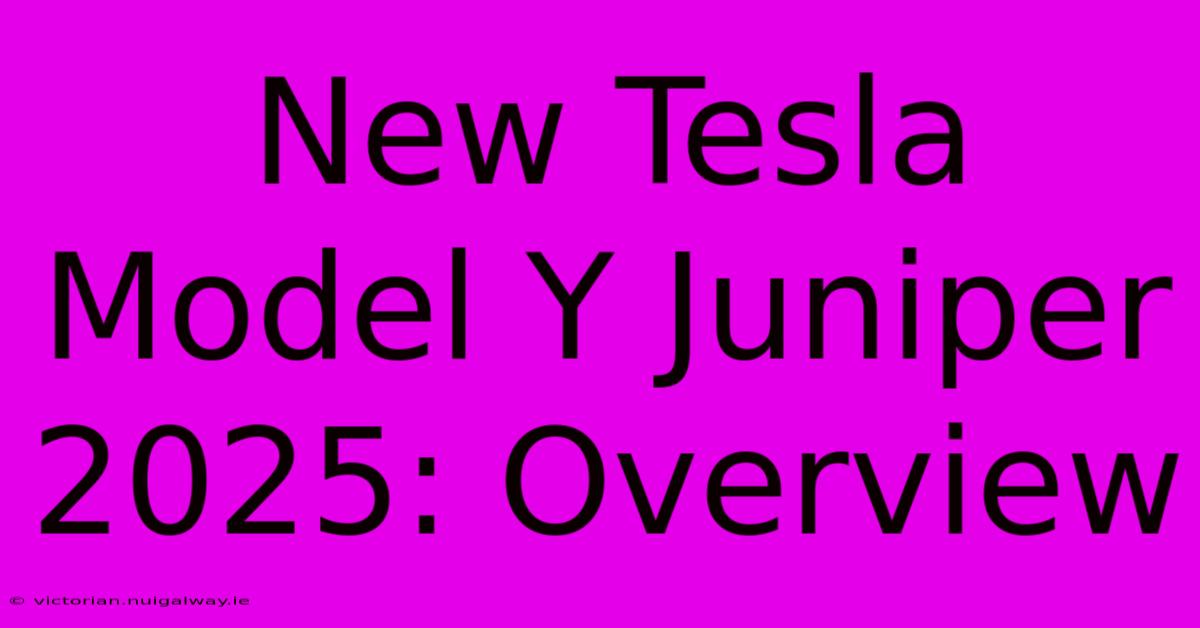 New Tesla Model Y Juniper 2025: Overview