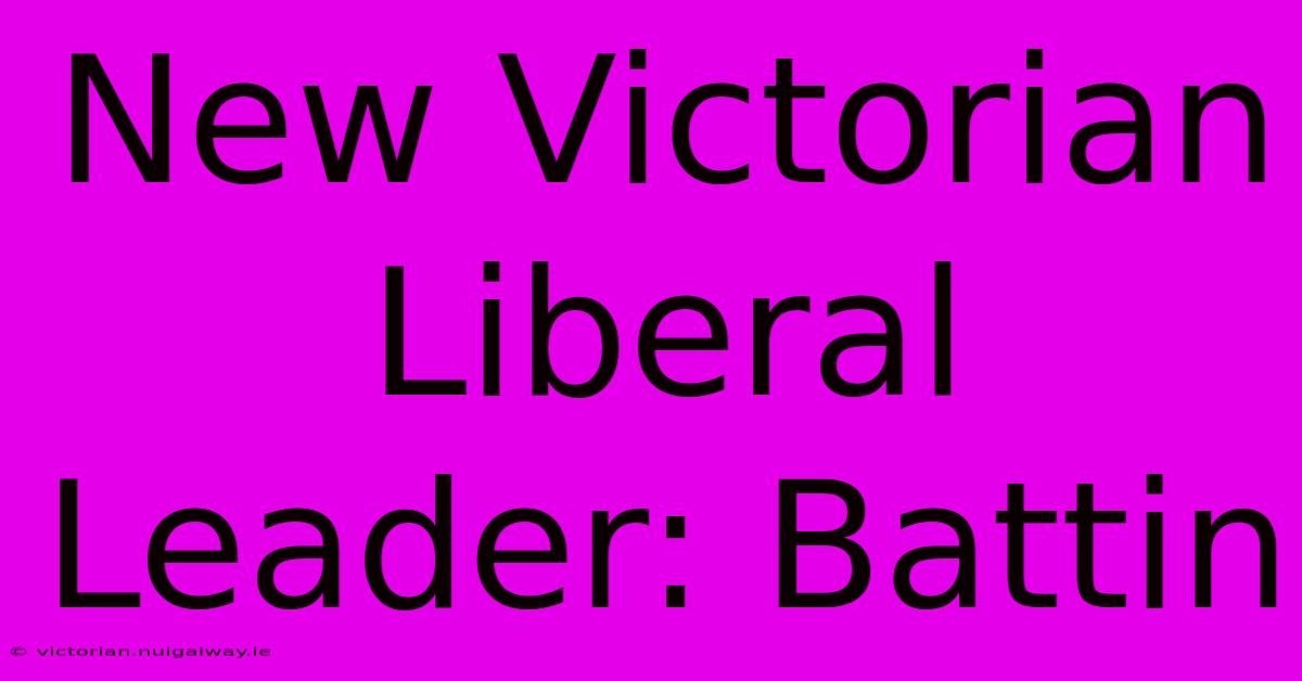 New Victorian Liberal Leader: Battin