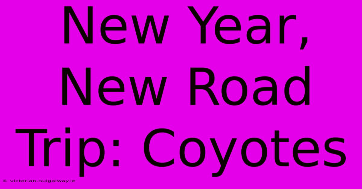 New Year, New Road Trip: Coyotes