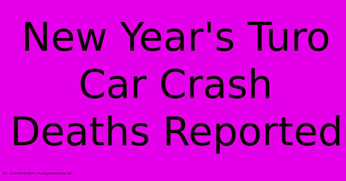 New Year's Turo Car Crash Deaths Reported