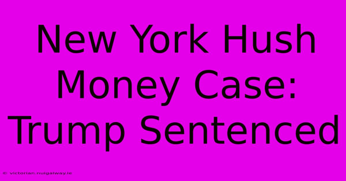 New York Hush Money Case: Trump Sentenced