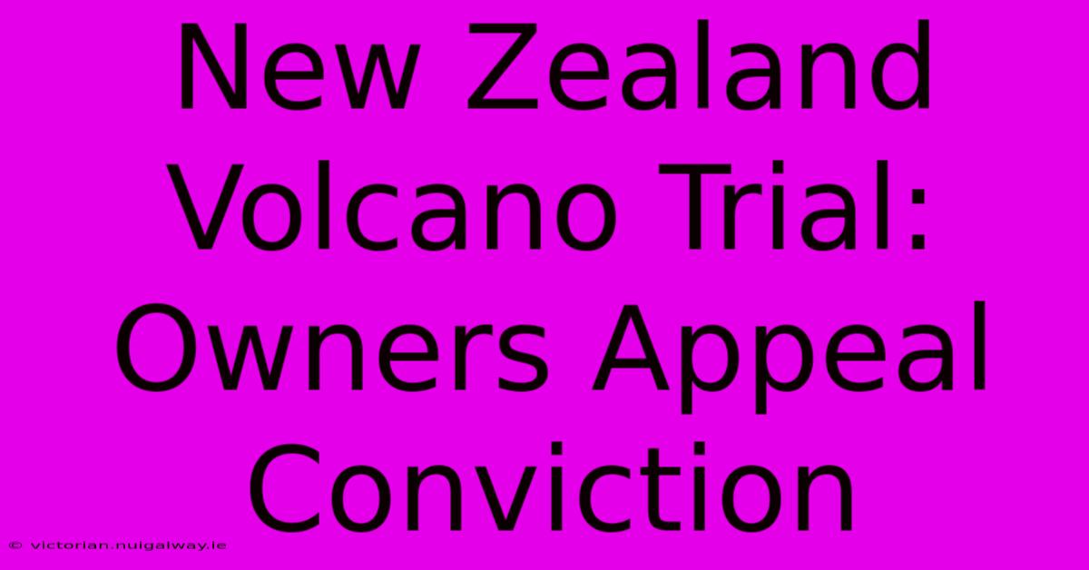 New Zealand Volcano Trial: Owners Appeal Conviction