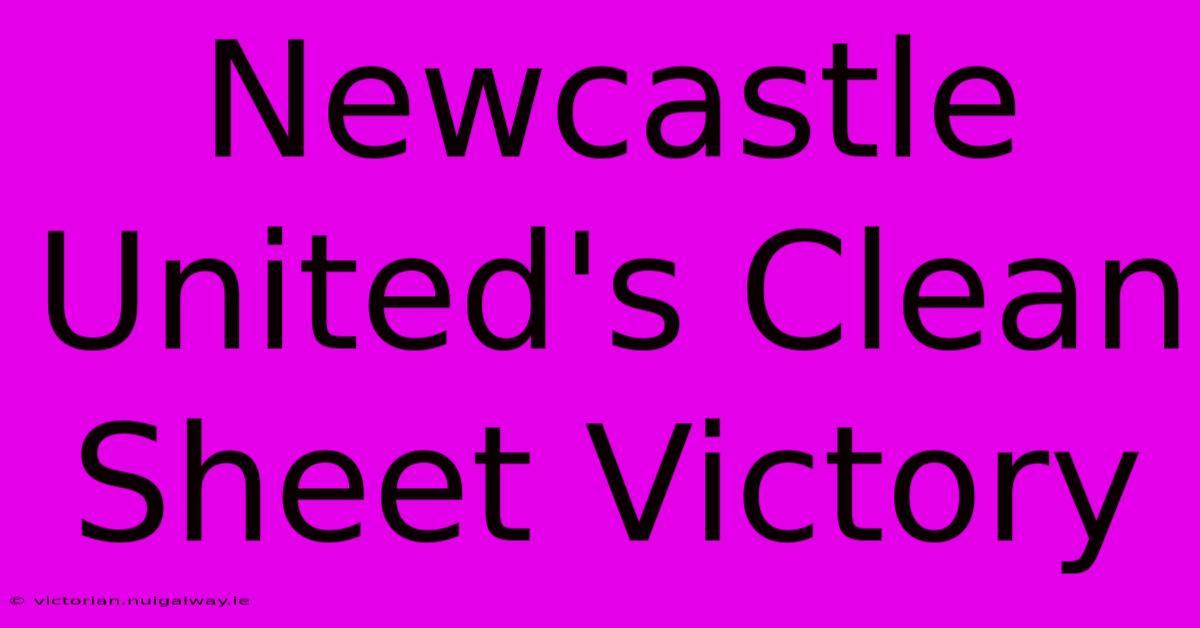 Newcastle United's Clean Sheet Victory