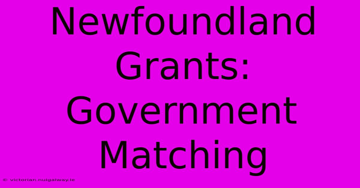 Newfoundland Grants: Government Matching