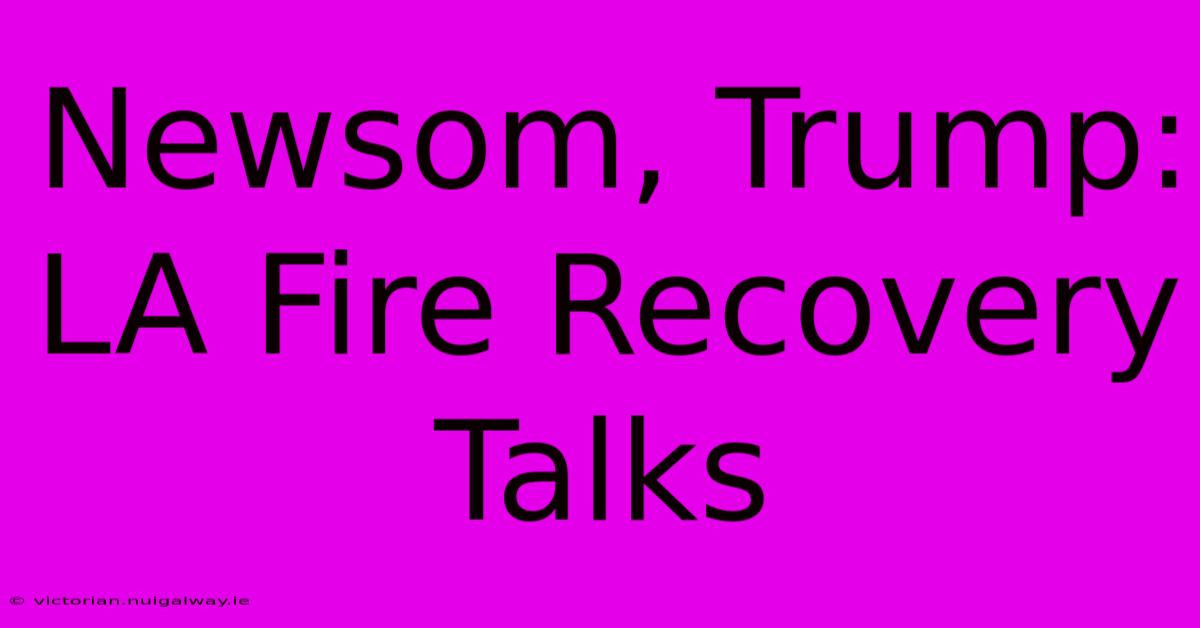 Newsom, Trump:  LA Fire Recovery Talks