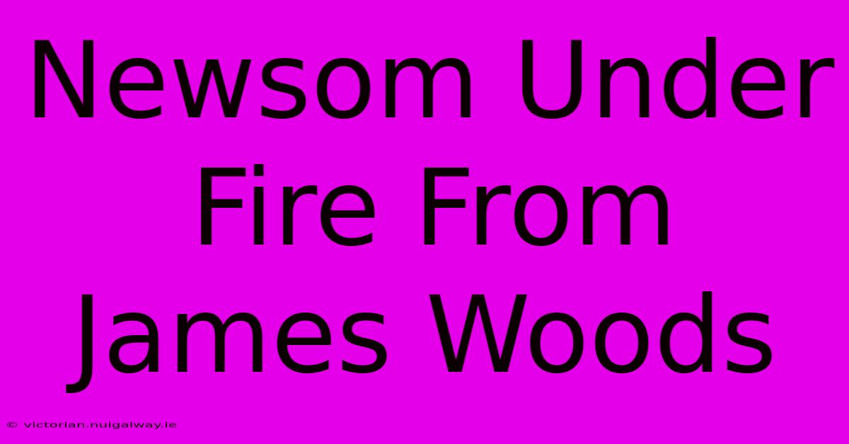 Newsom Under Fire From James Woods